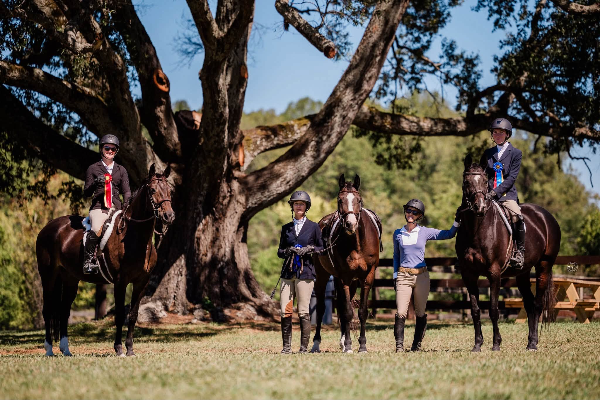 Ribbon ceremony under the oak tree