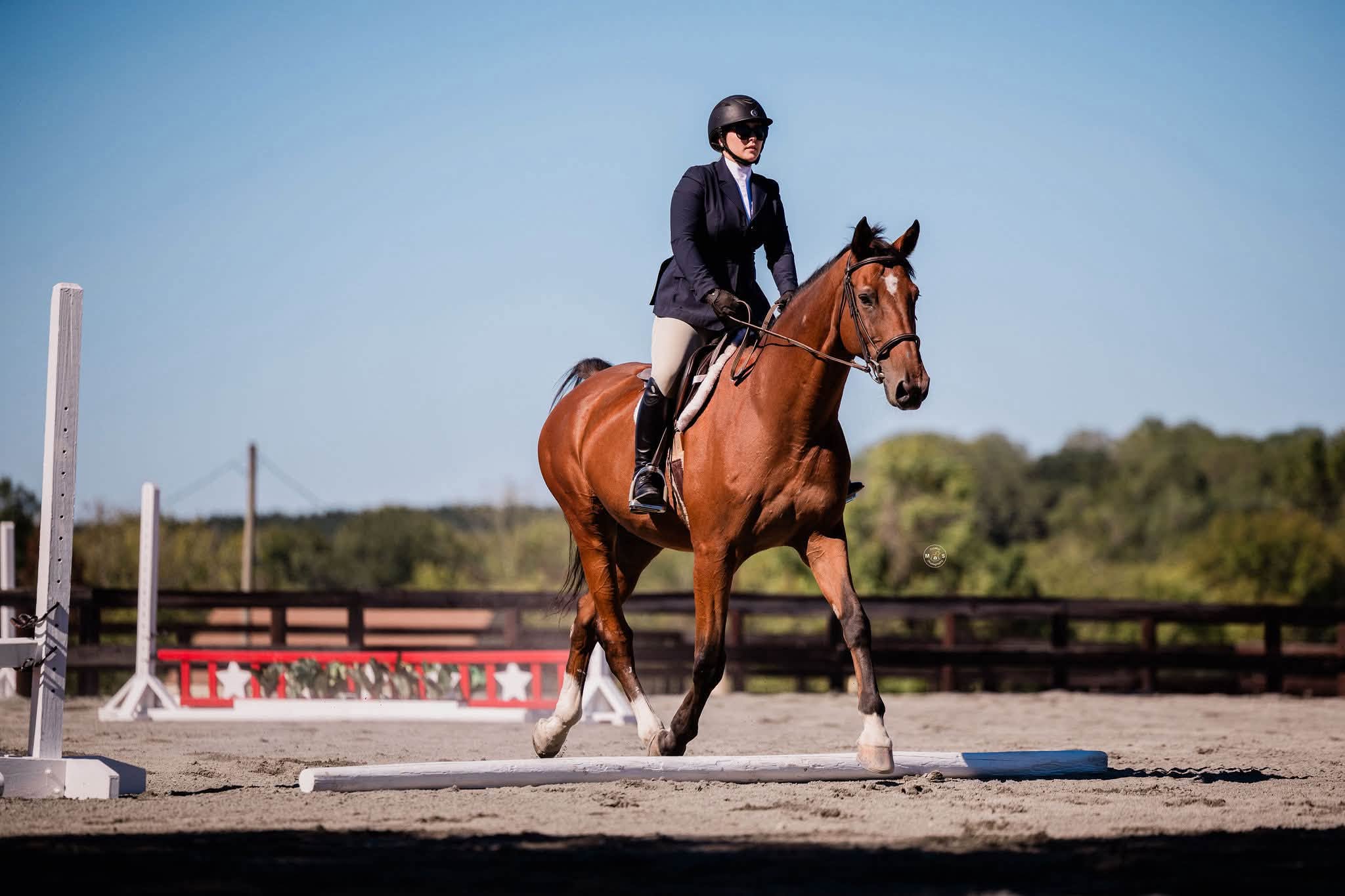 Rider cantering in the show ring