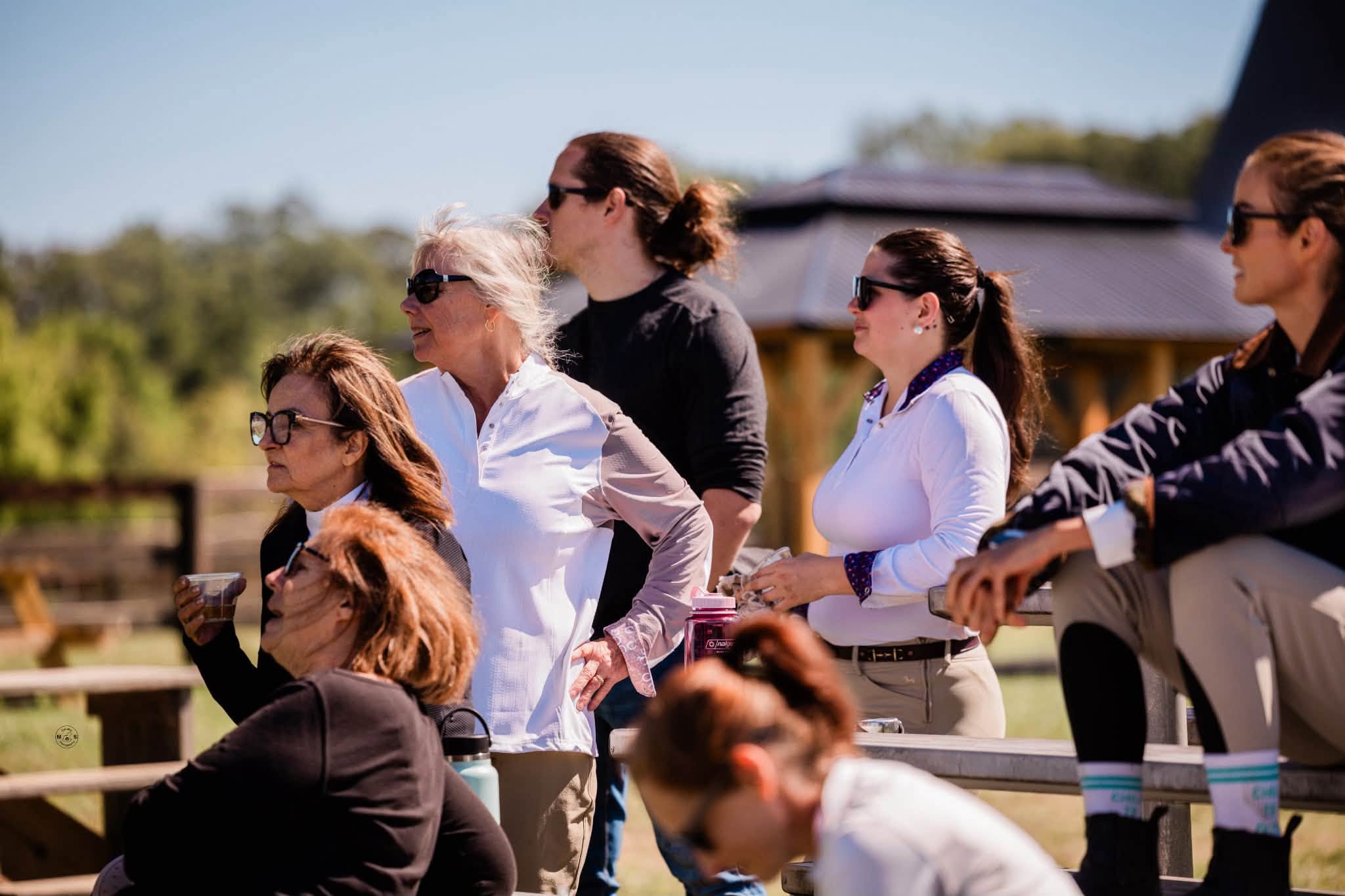 Spectators watching the show at Quail Roost Farm